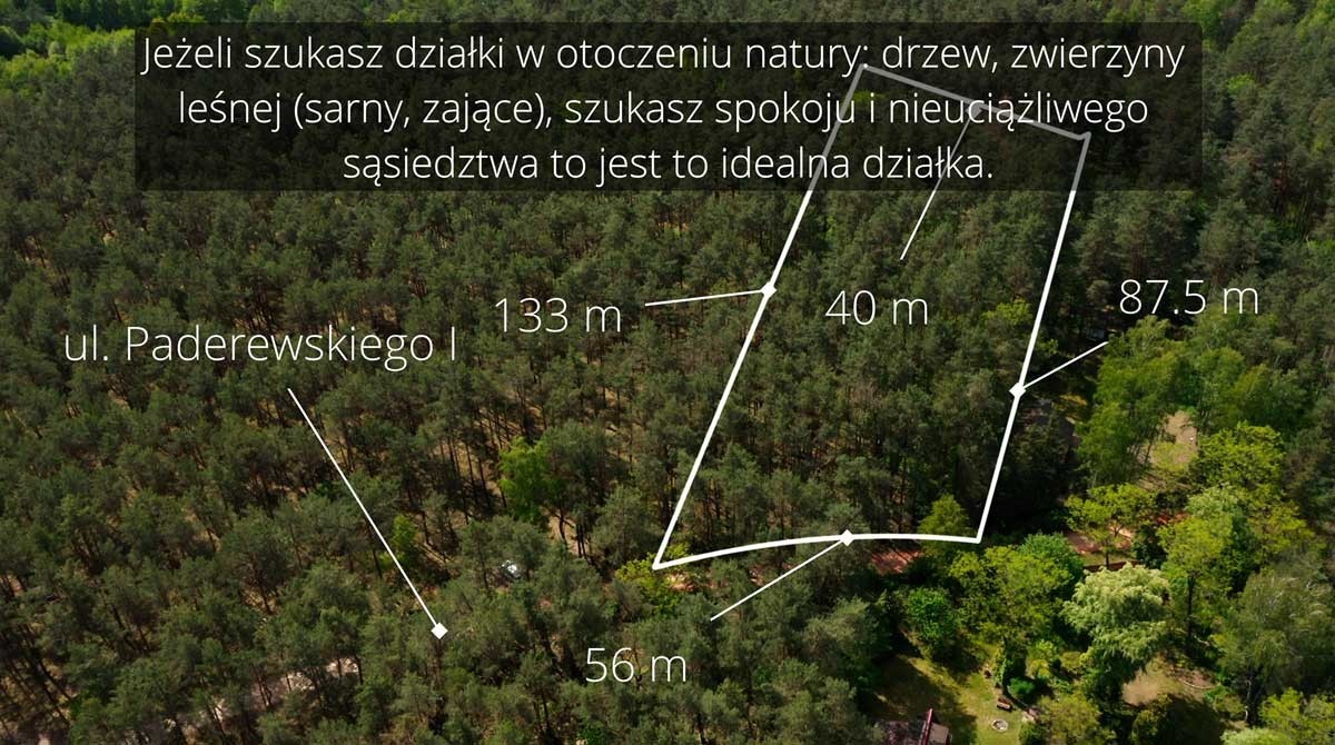 Działka leśna ujęta w MPZP z możliwością zabudowy — zdjęcie 2