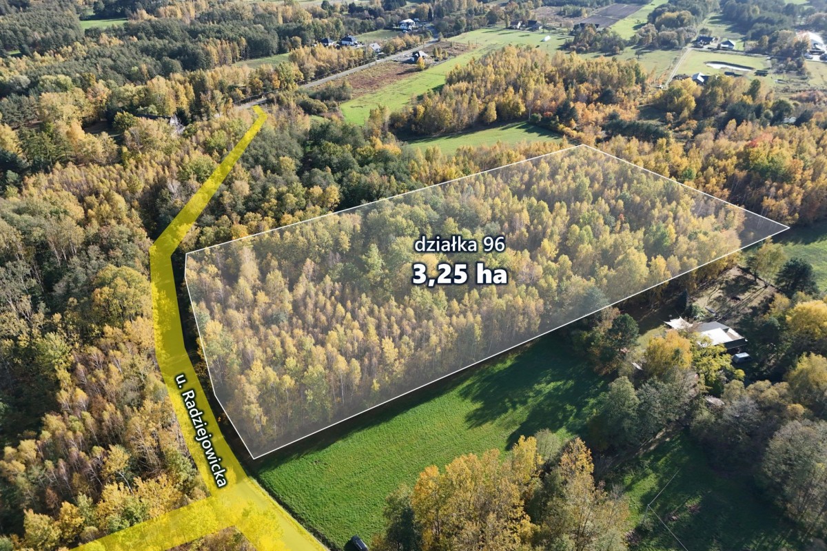 3,25ha wśród lasów, Budy Michałowskie — zdjęcie 1