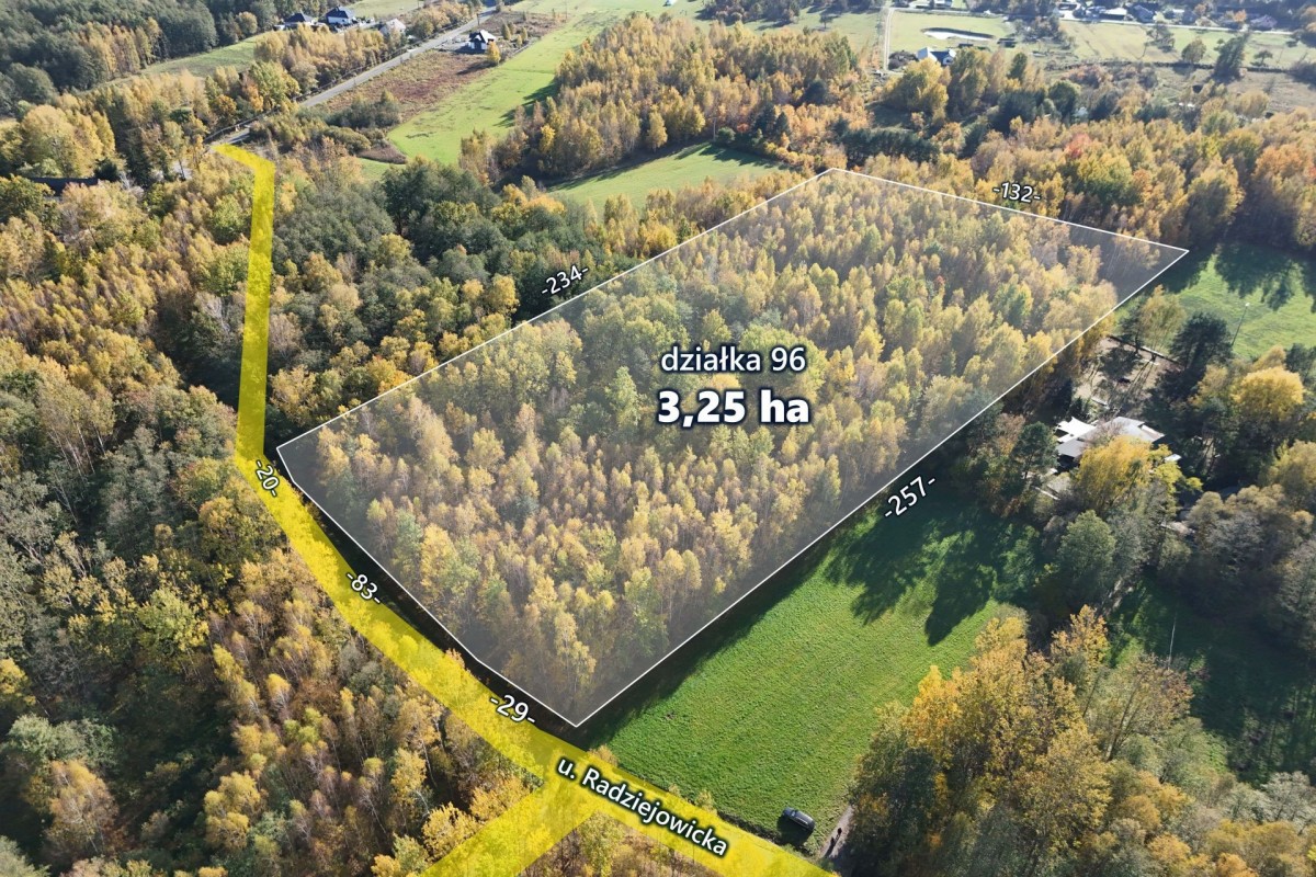 3,25ha wśród lasów, Budy Michałowskie — zdjęcie 2