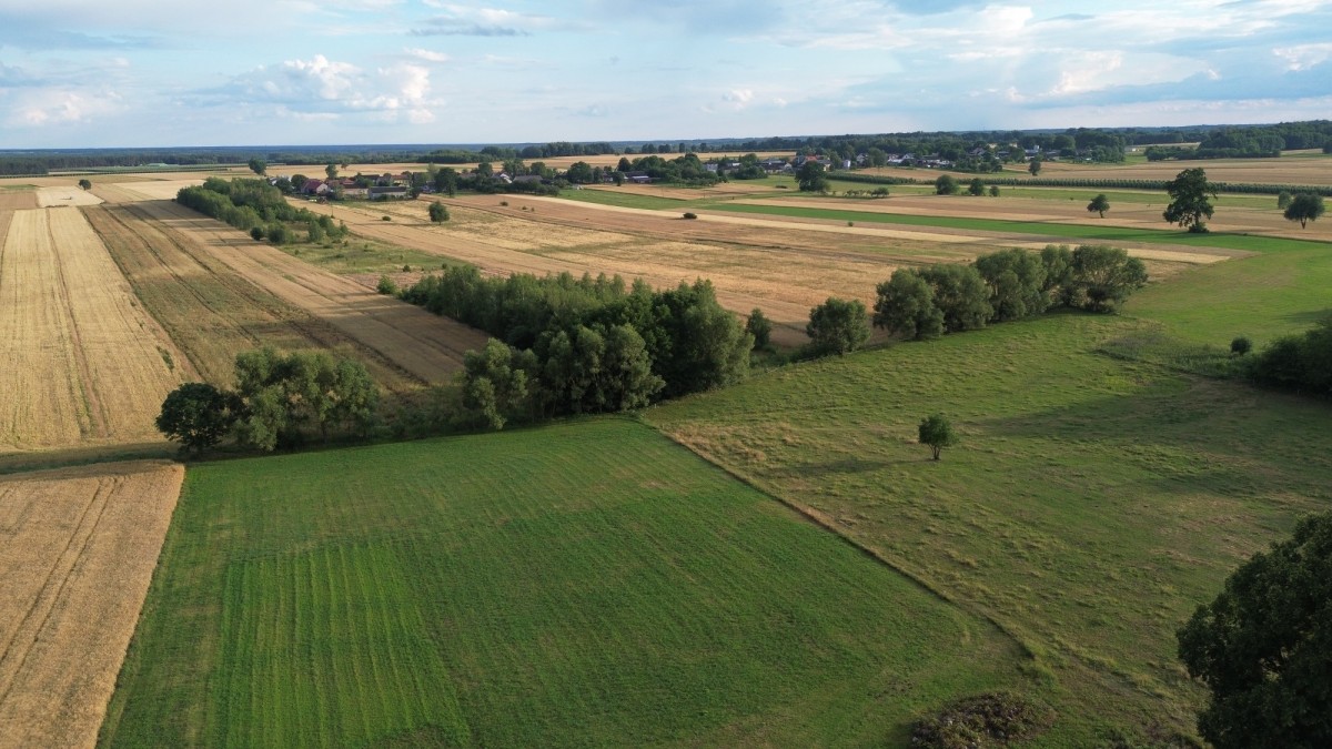 Działka rolna z możliwością zabudowy — zdjęcie 3