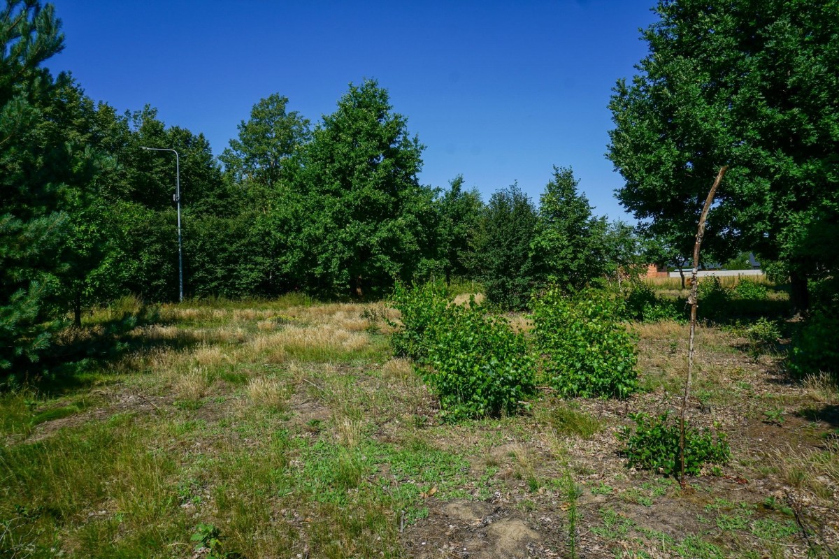 Działka budowlana 1096m2, Grądy k. Żyrardowa — zdjęcie 4