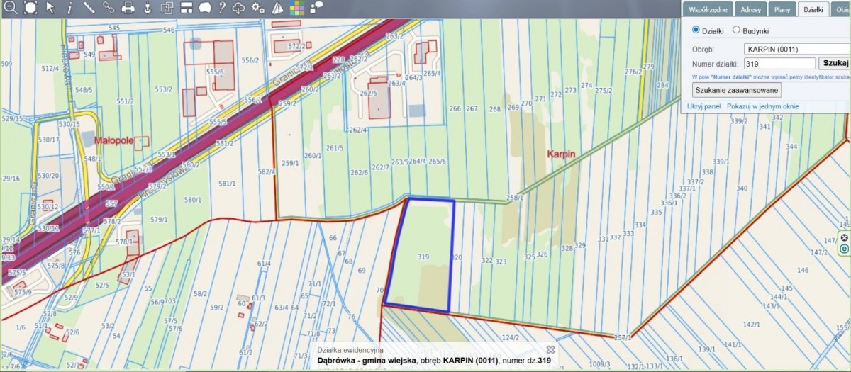 Działka inwestycyjna nr 319, KARPIN z WZ — zdjęcie 1