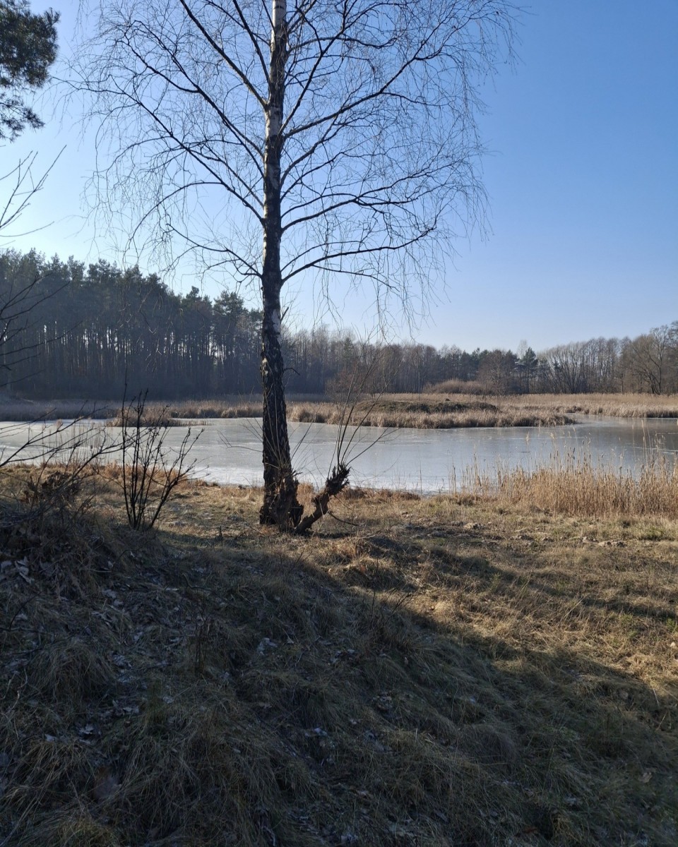PENSJONAT — zdjęcie 4