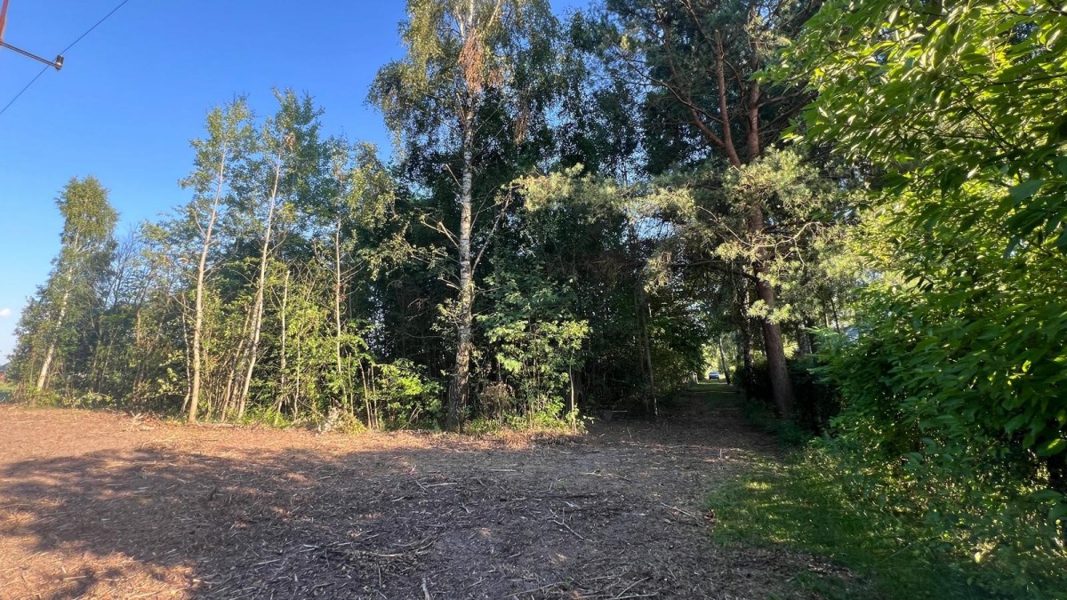 WYJĄTKOWA DZIAŁKA Z WZ 3204 m2 | GRABÓW NAD PILICĄ — zdjęcie 5