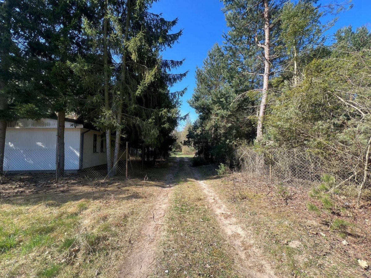 Działka rekreacyjna | Blisko rzeki | 50 km od W-wy — zdjęcie 3