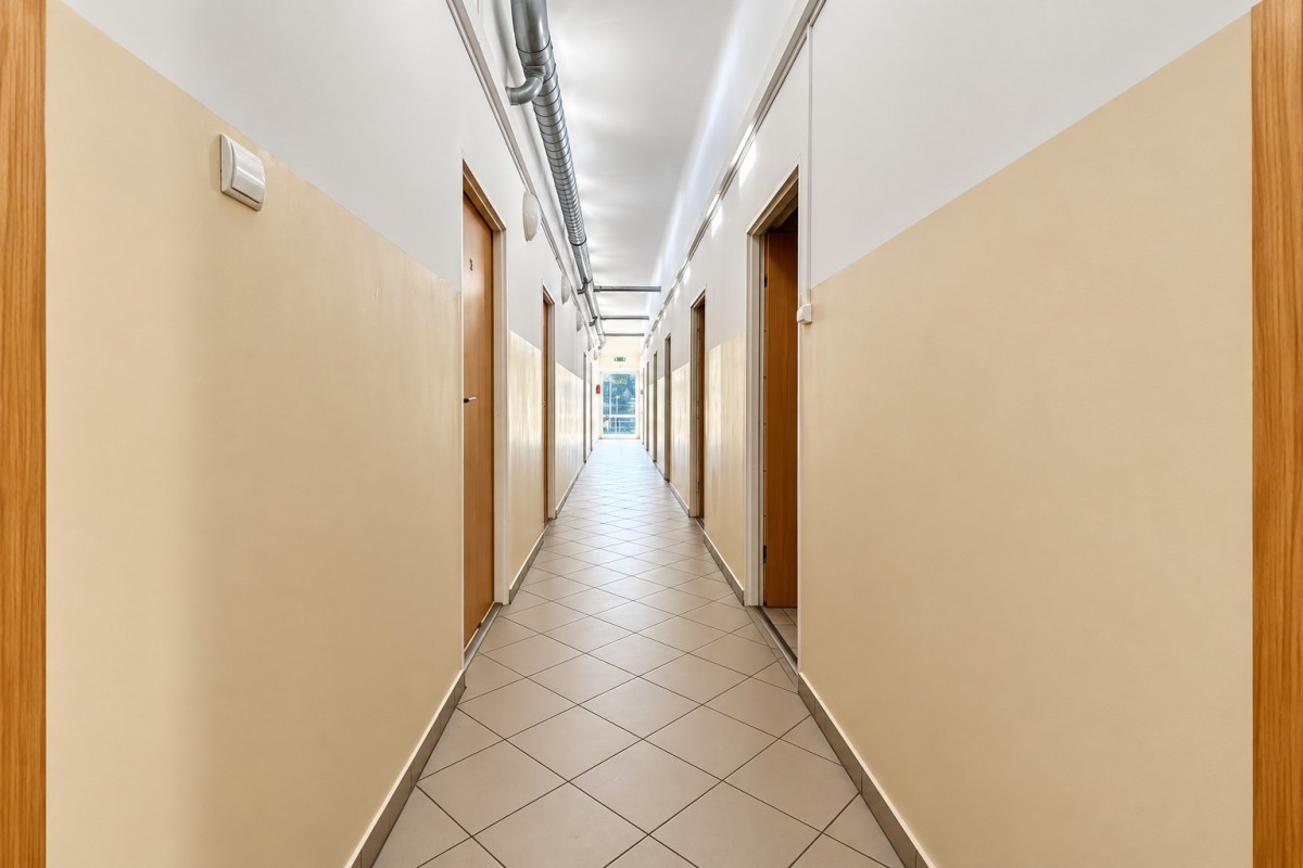 Duży lokal 254 m² II Konstancin-Jeziorna — zdjęcie 4