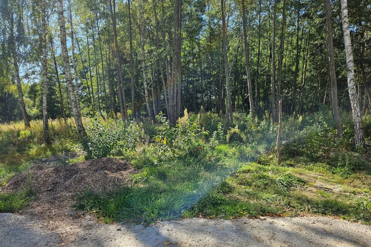 Działka budowlana 2292m2 z lasem nad rzeczką — zdjęcie 3