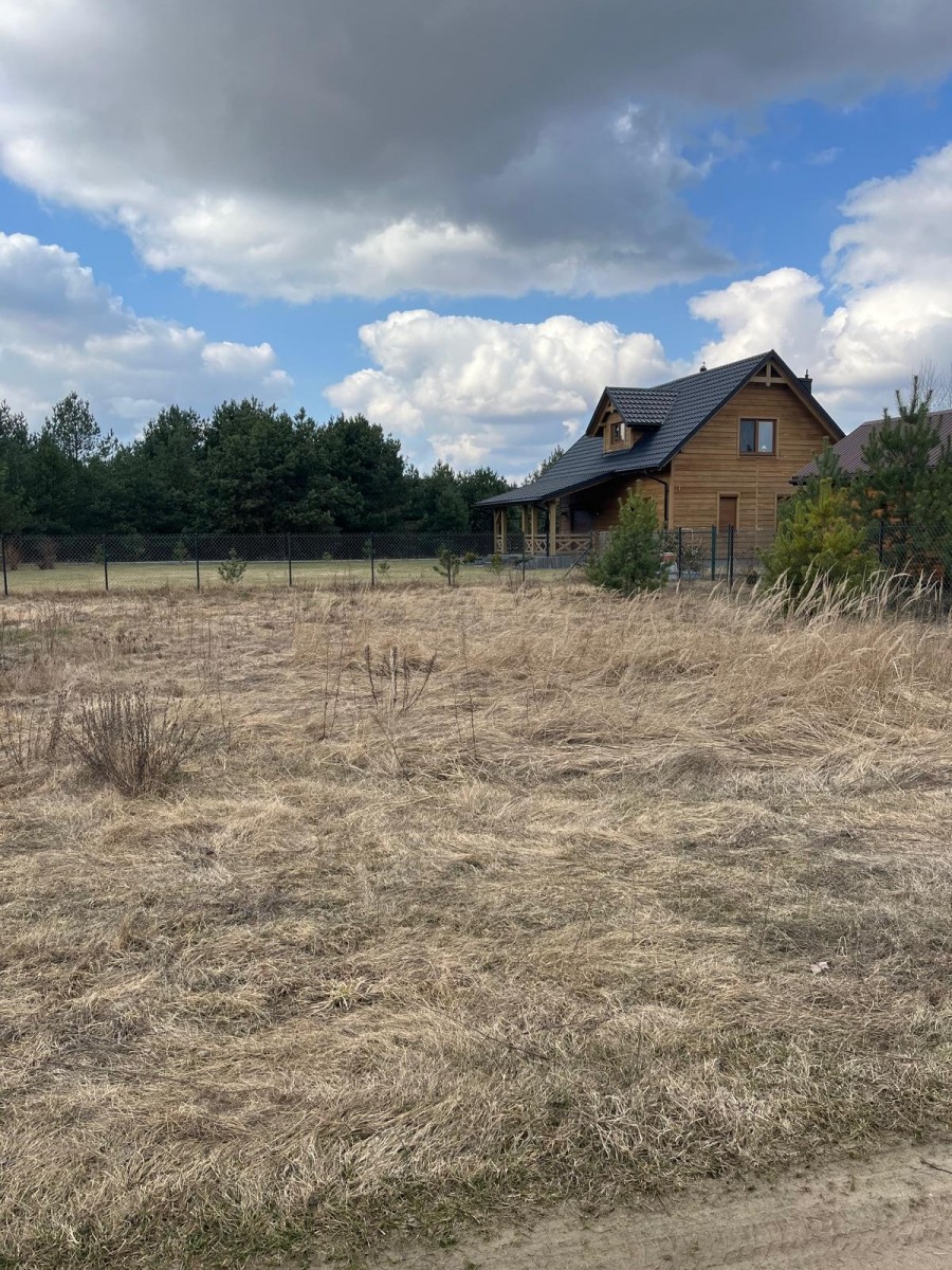 Cisza natura rz. Liwiec, odpoczynek praca zdalna — zdjęcie 5