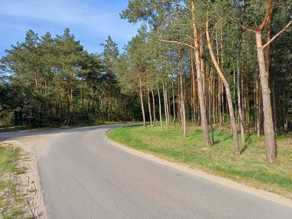Dziaka rolno budowlana Gocaw gmina Pilawa — zdjęcie 3