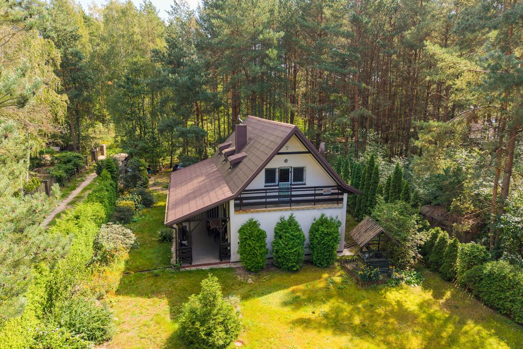 Leśna enklawa 40 min od Warszawy – klimatyczny dom — zdjęcie 5