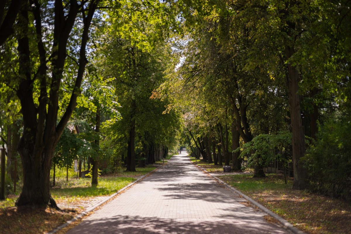 Magdalenka | działka z domem | 1286 m² | MPZP — zdjęcie 5