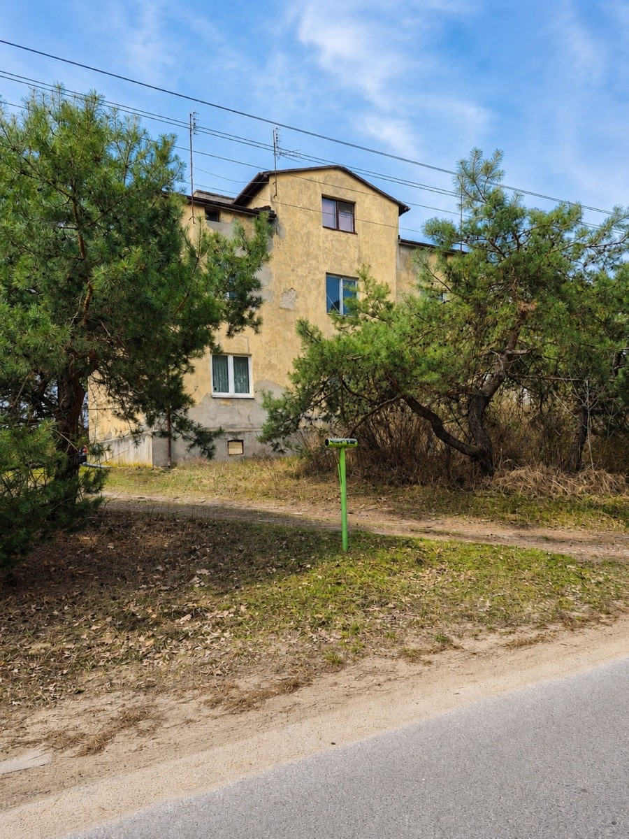 Własny las | 1869 m² zieleni | Międzyborów — zdjęcie 4