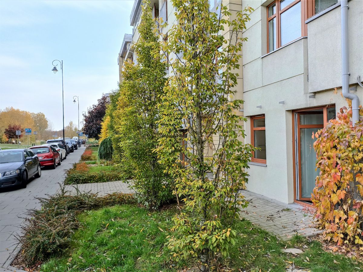 Lokal / mieszkanie: dwa wejścia, parter, taras !!! — zdjęcie 1