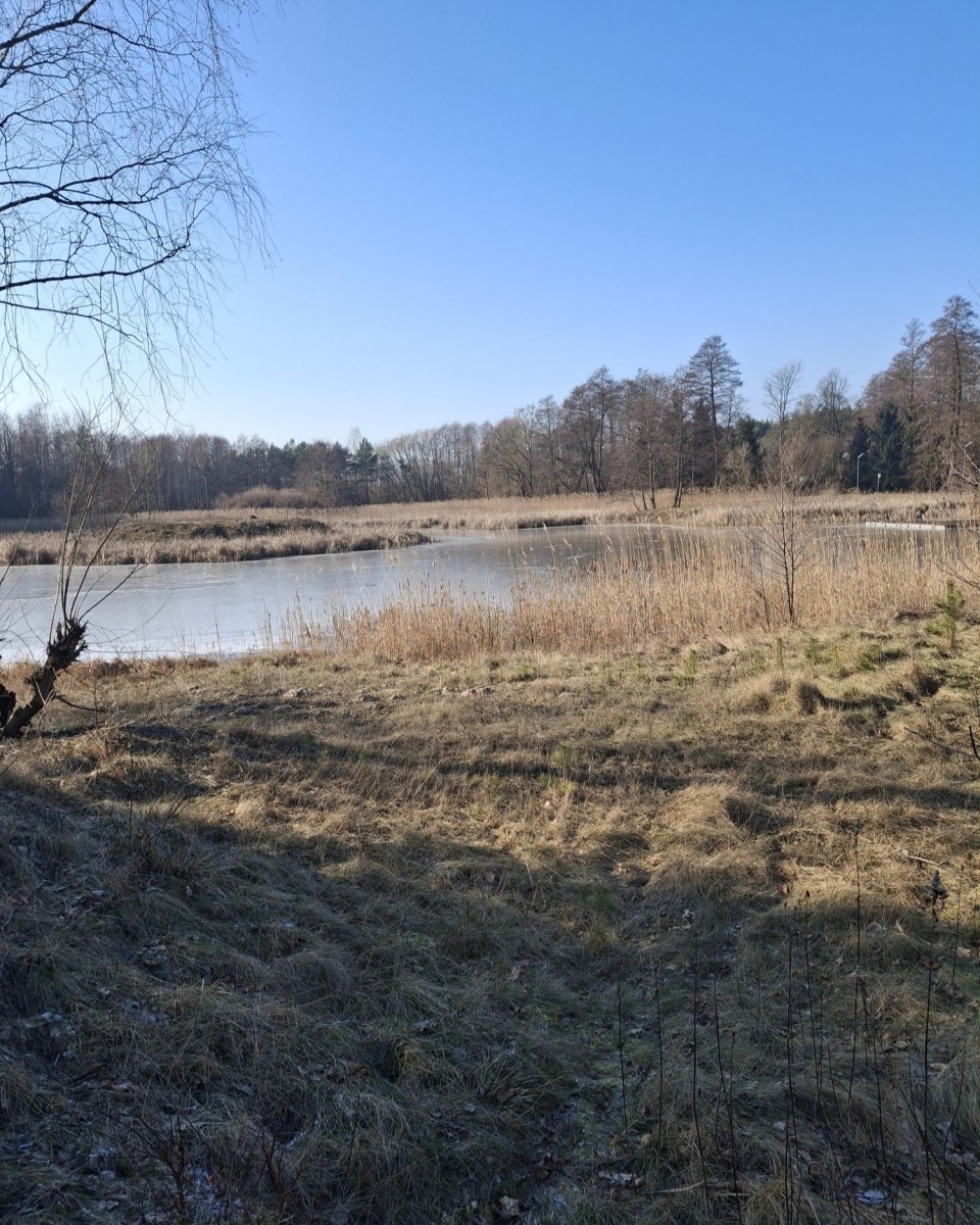 PENSJONAT — zdjęcie 3