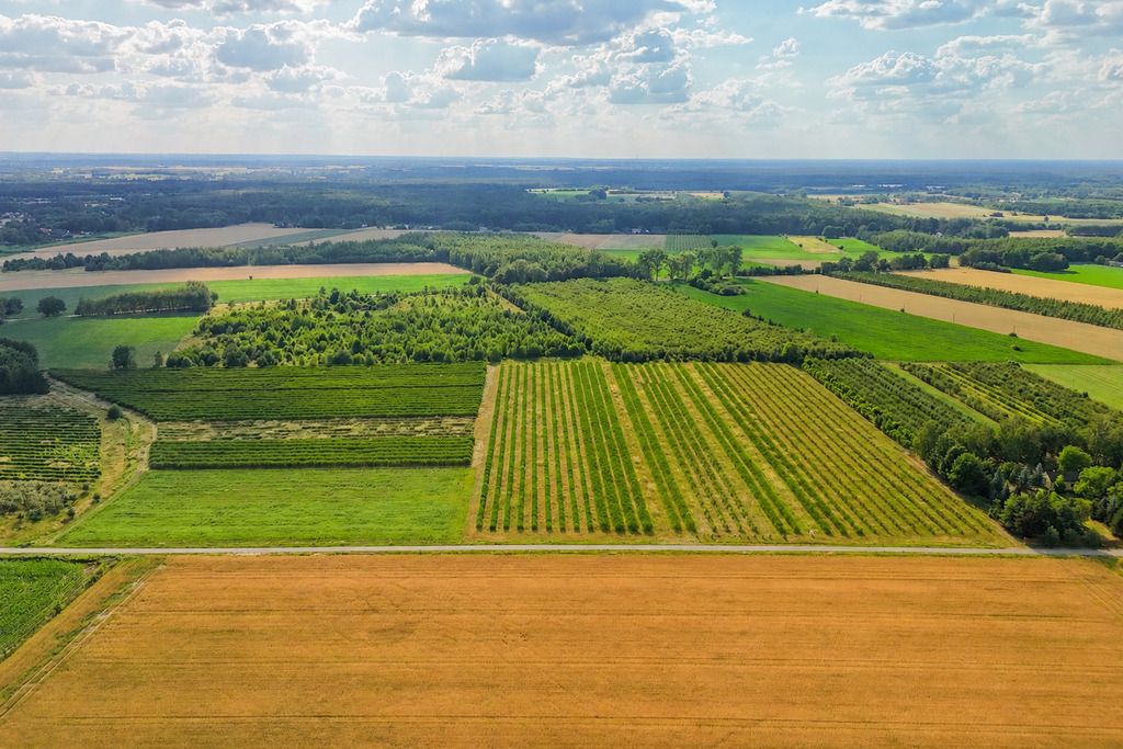 Twoja OAZA spokoju - Stary Łajszczew 5962m2 z WZ — zdjęcie 4