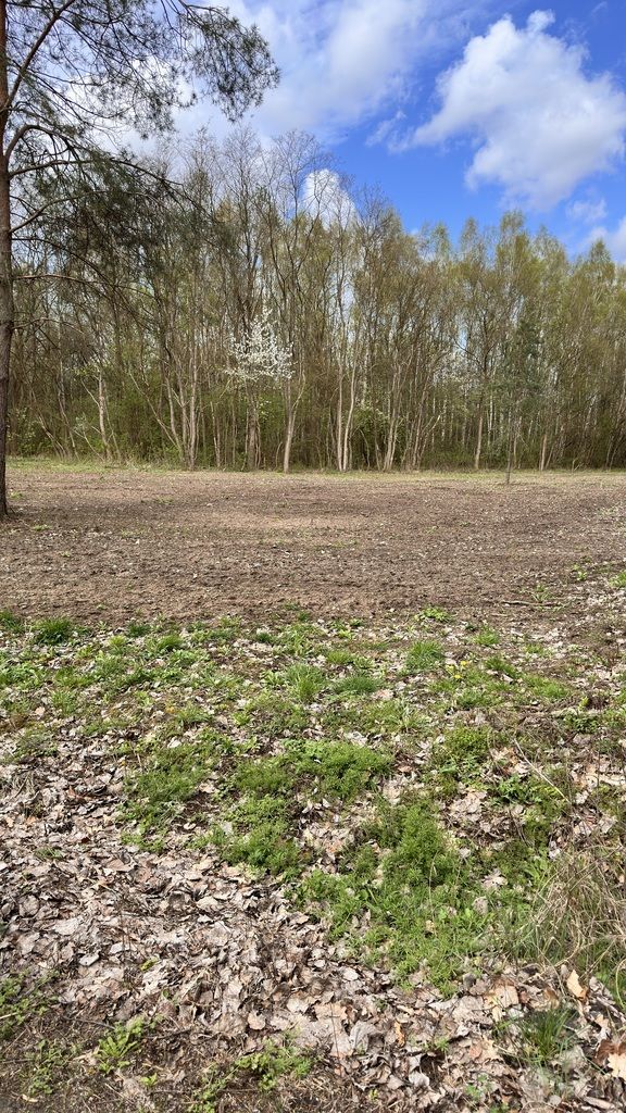 Działka budowlana w okolicach Tarczyna!! — zdjęcie 2