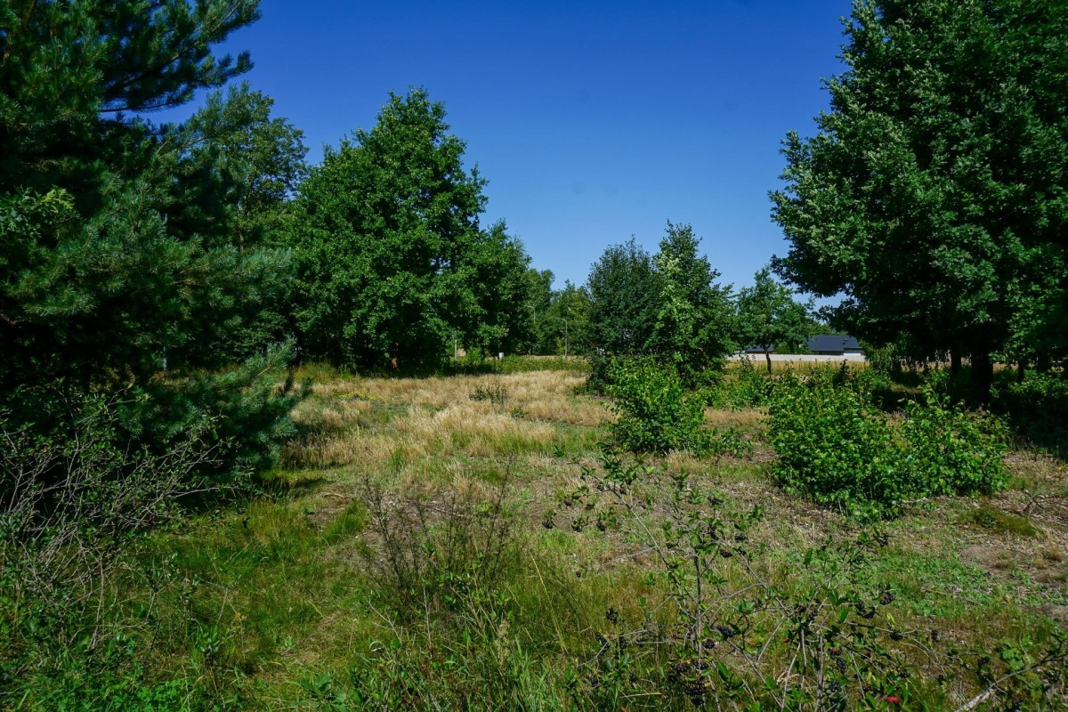 Działka budowlana 1096m2, Grądy k. Żyrardowa — zdjęcie 1