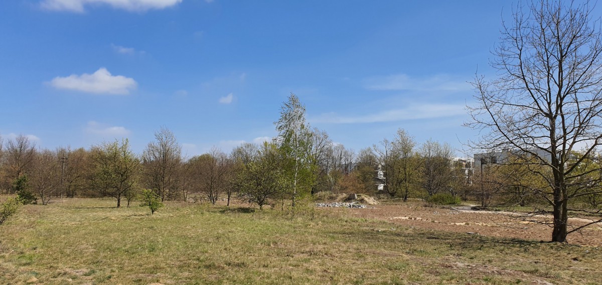 Działka (Rolna) — Marki — zdjęcie 2