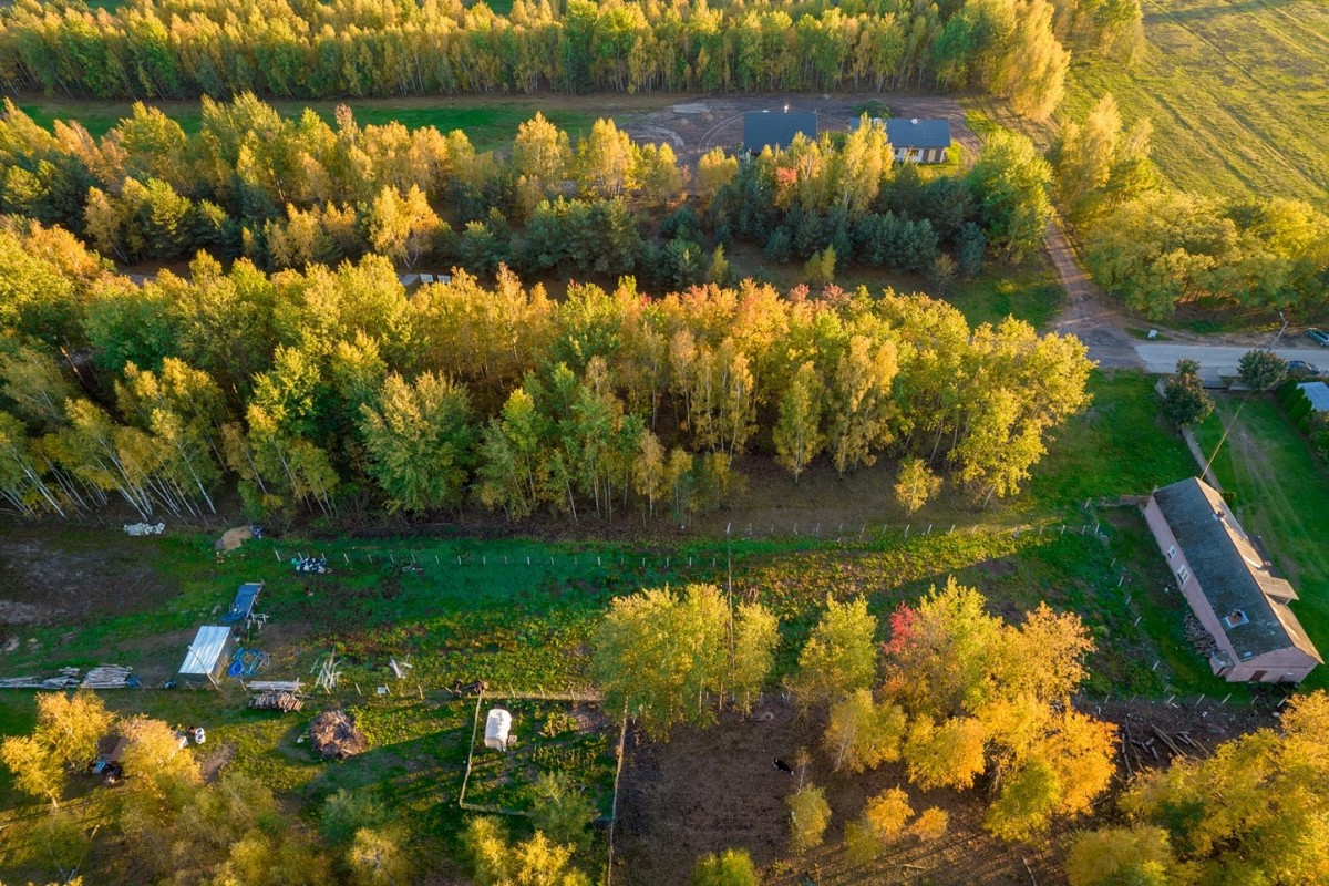 DZIAŁKA KOŁO RADZYMINA — zdjęcie 3