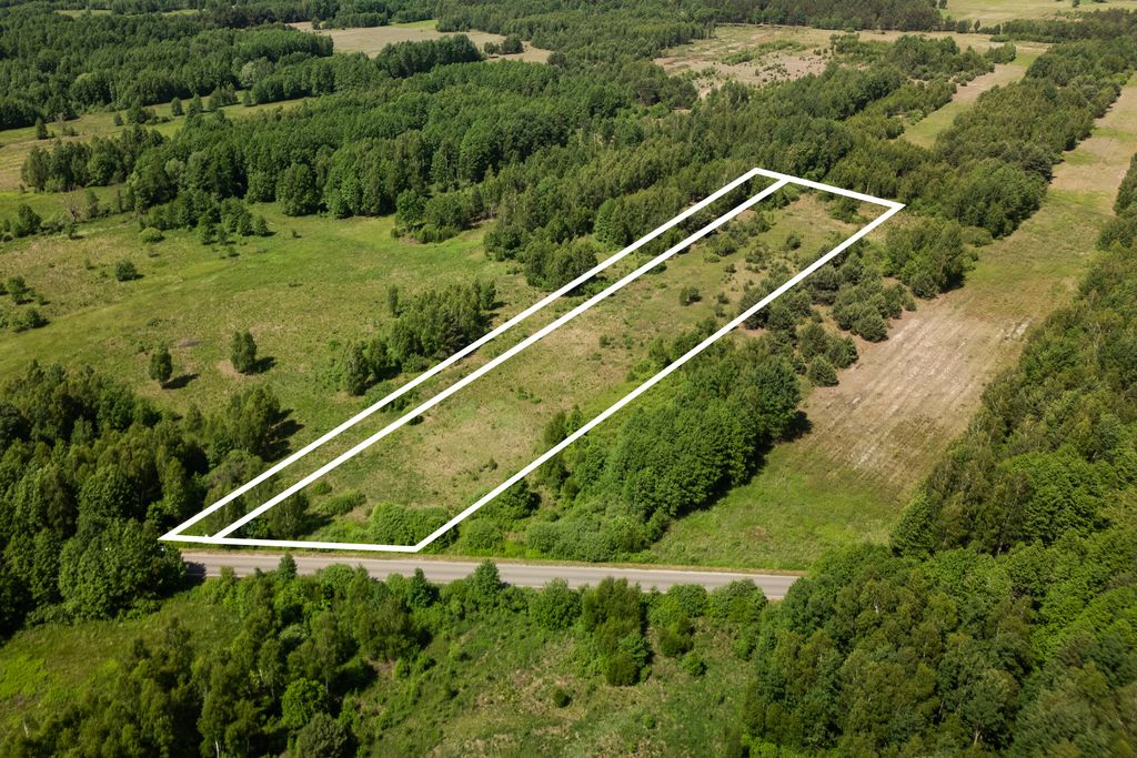 Działki - 3x3000m2 Wólka Dąbrowicka — zdjęcie 5