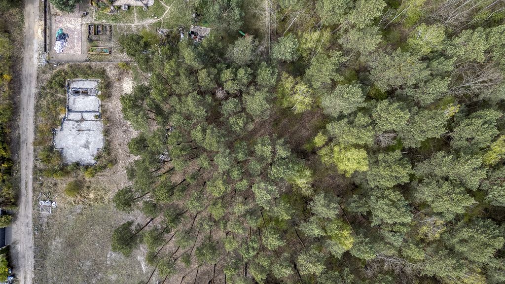 Urokliwa działka 2 050 m² Wawer, ul. Wiązowska — zdjęcie 2