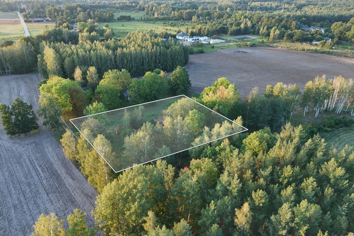 Siedlisko na skraju lasu, 3700 m², gm. Wiskitki — zdjęcie 2