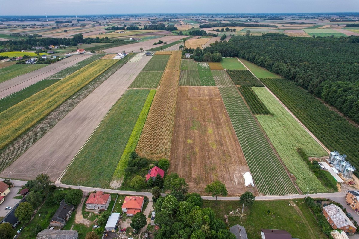 Działka budowlana -  20200m2 w Topólnie  - z domem — zdjęcie 2