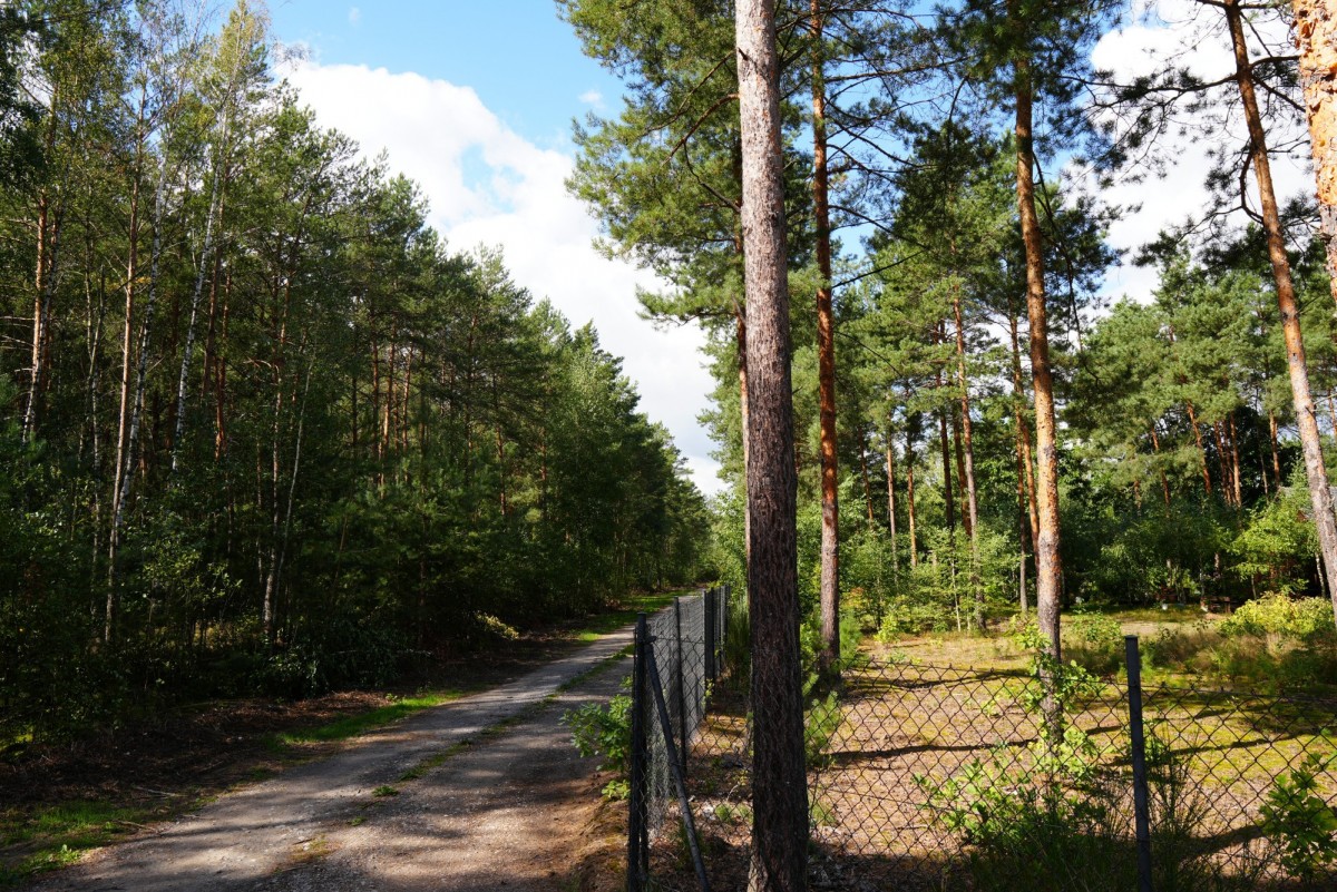 Leśny zakątek | działka budowlana w Białobrzegach — zdjęcie 1