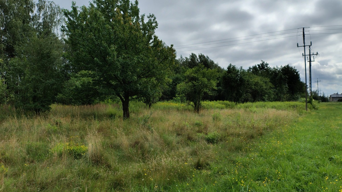 Okazja gm.Kampinos  3 działki budowlane — zdjęcie 1