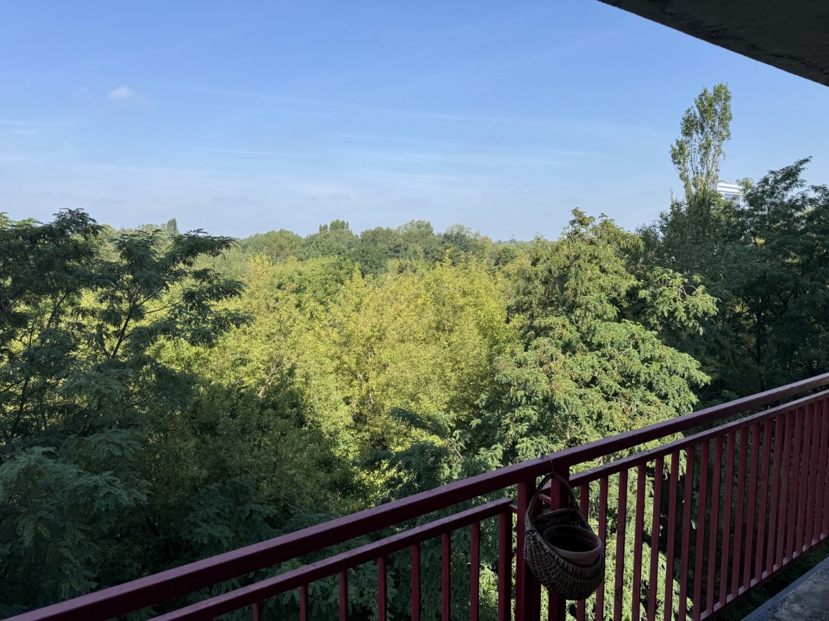 Bielany 77m2 z tarasem wynajmę — zdjęcie 1