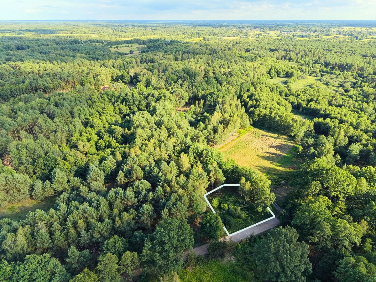 Duża, Kszałtna działka. Jasienca gm. Tłuszcz — zdjęcie 4