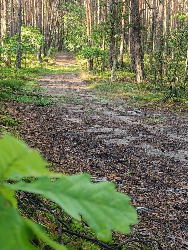 Józefów, 3440 m²  2 działki budowlane i dojazd — zdjęcie 2
