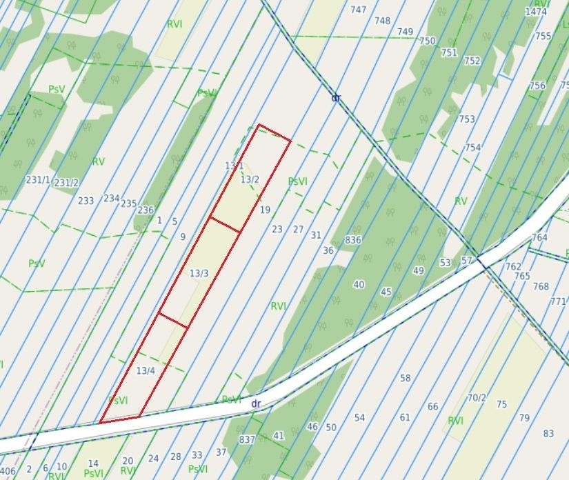 Działki - 3x3000m2 lub 9000m2 Wólka Dąbrowicka — zdjęcie 2