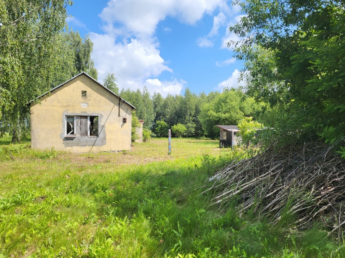 Działka 6400 m² sprzedaż Elżbietów, gmina Teresin — zdjęcie 4