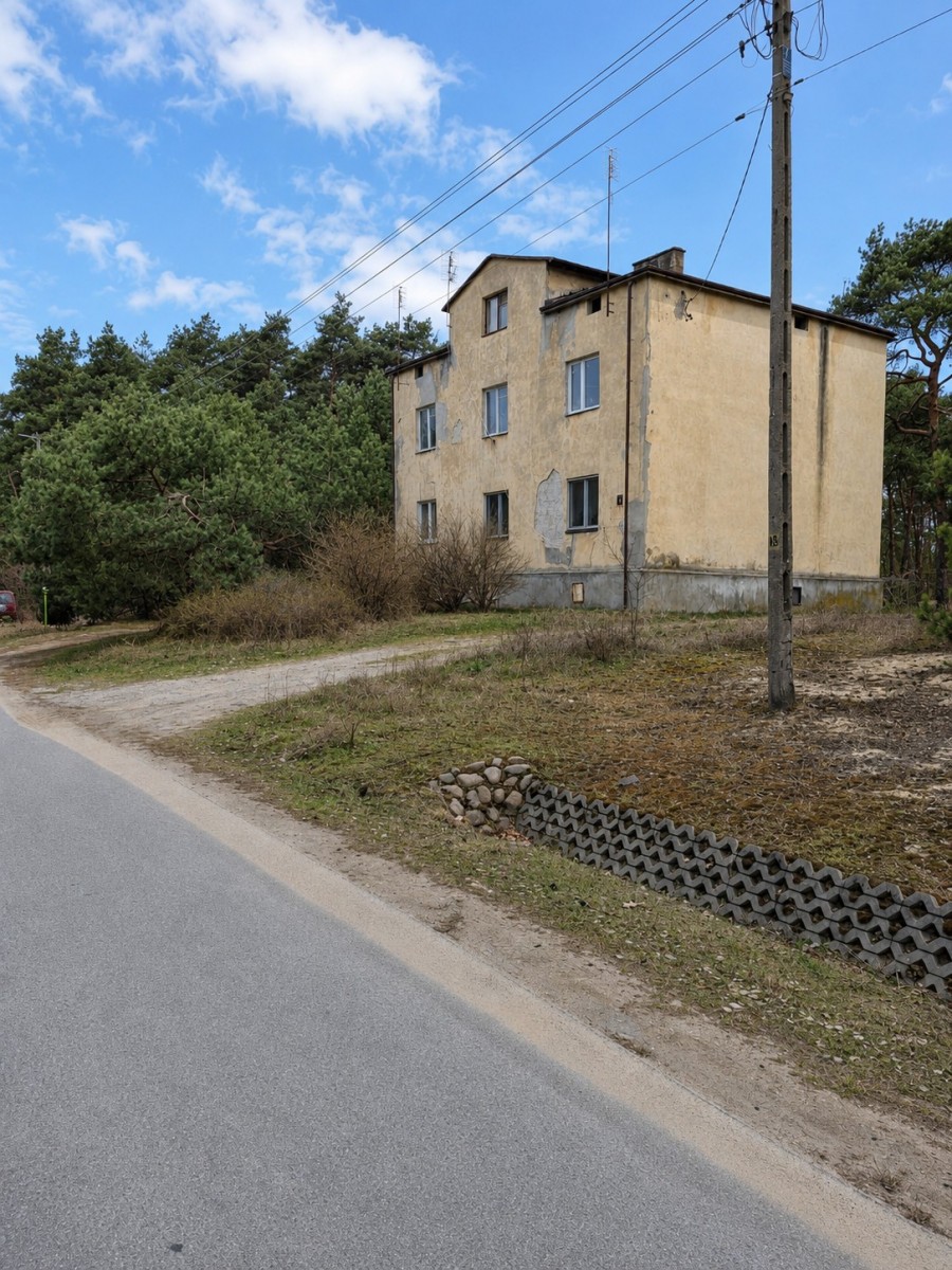 Własny las | 1869 m² zieleni | Międzyborów — zdjęcie 3