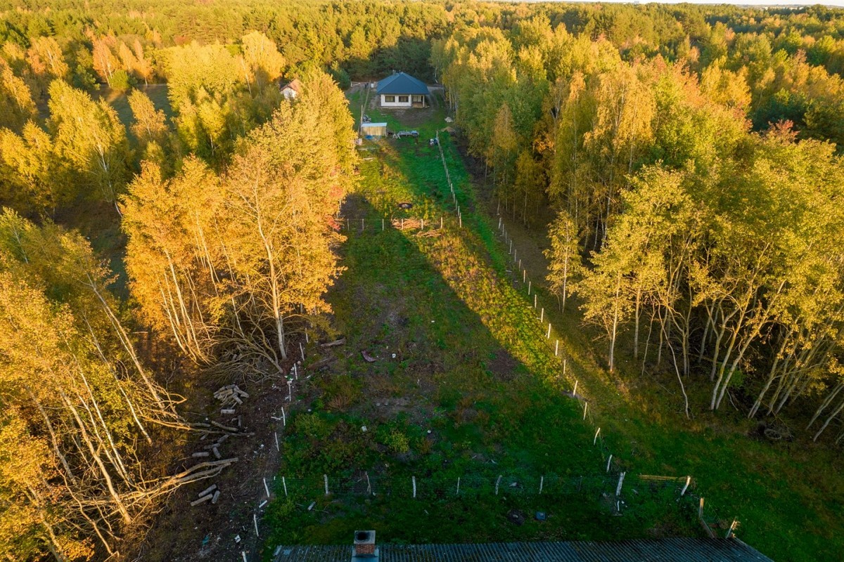 DZIAŁKA KOŁO RADZYMINA — zdjęcie 1