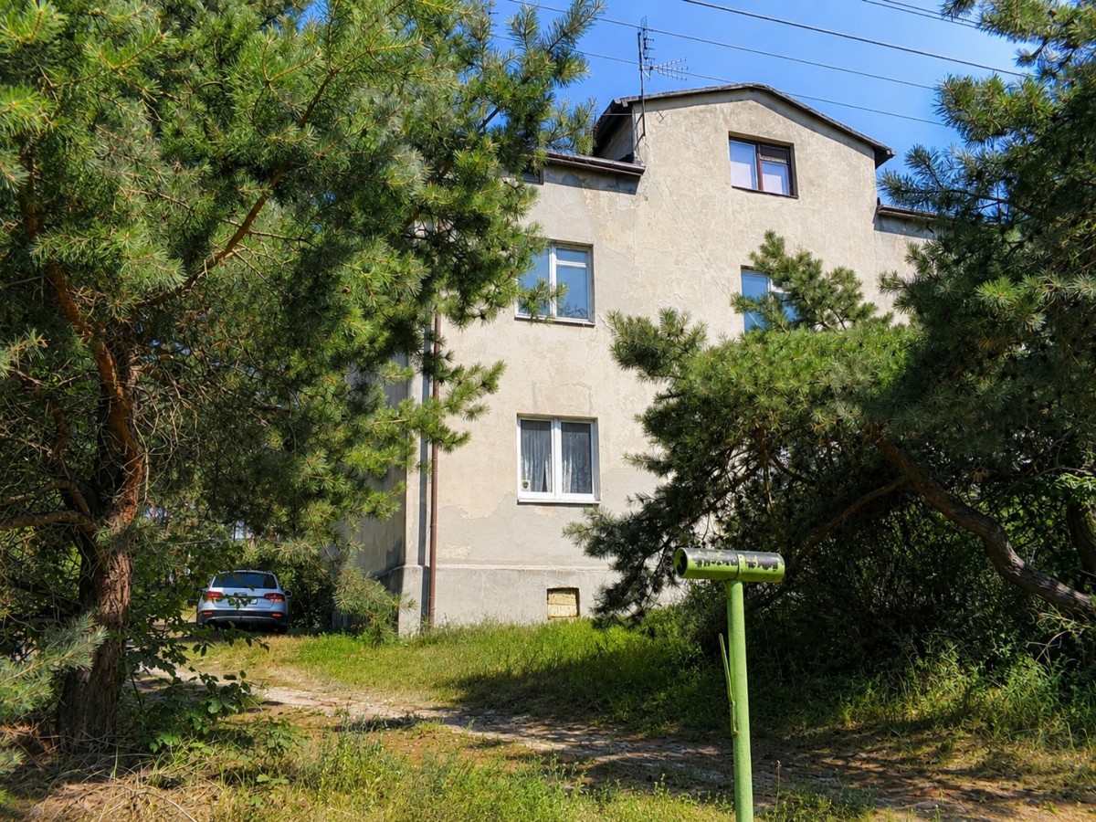 Własny las | 1869 m² zieleni | Międzyborów — zdjęcie 1