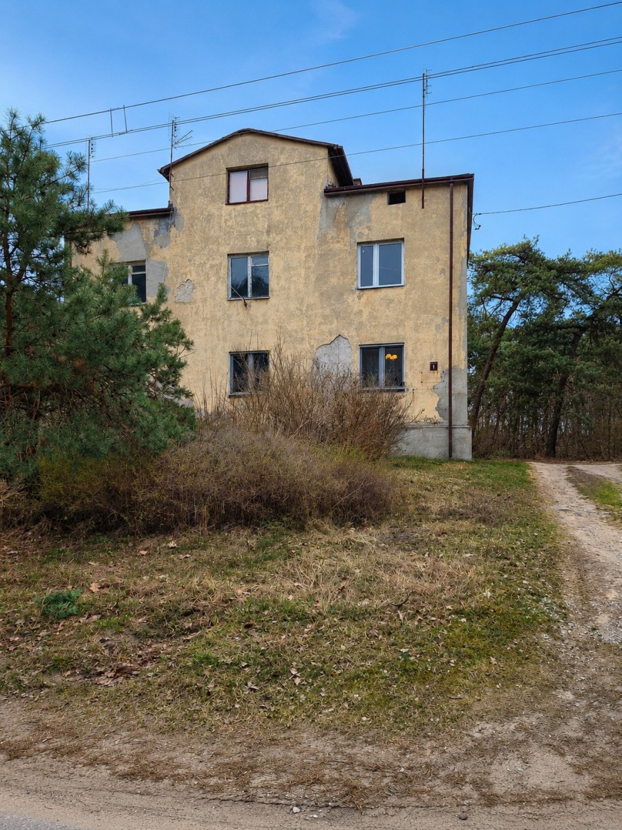 Własny las | 1869 m² zieleni | Międzyborów — zdjęcie 2