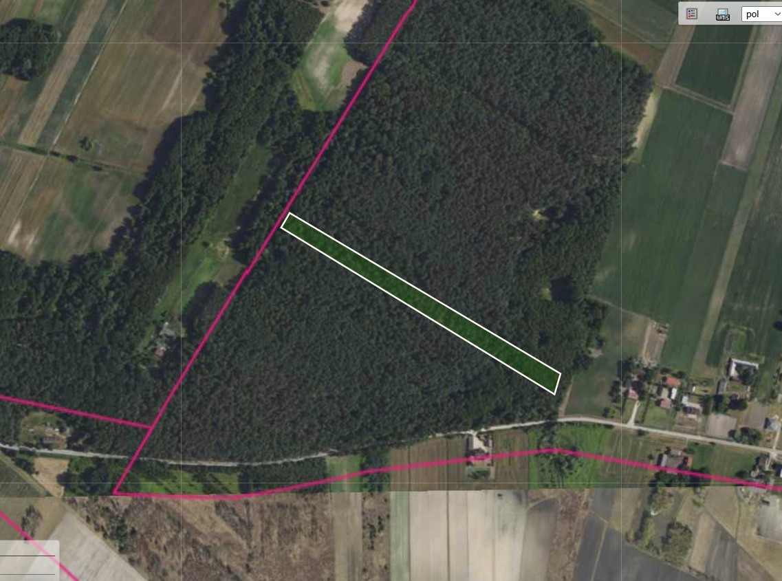 Działka leśna 1,5 ha w Justynowie — zdjęcie 1