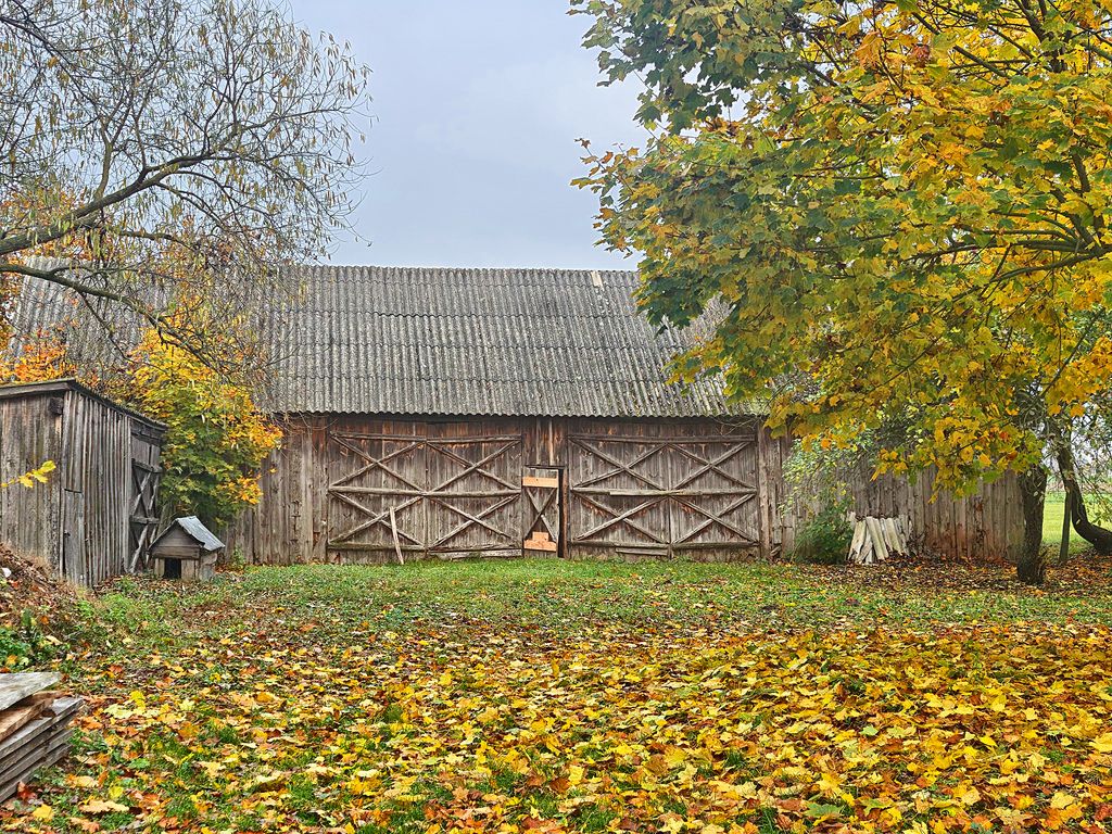 Siedlisko z duszą  Kurpie  3 budynki  1 h od Warsz — zdjęcie 5