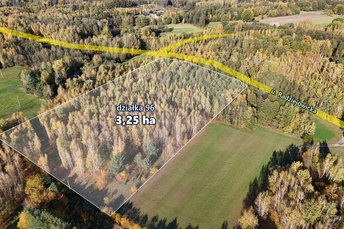 3,25ha wśród lasów, Budy Michałowskie — zdjęcie 3