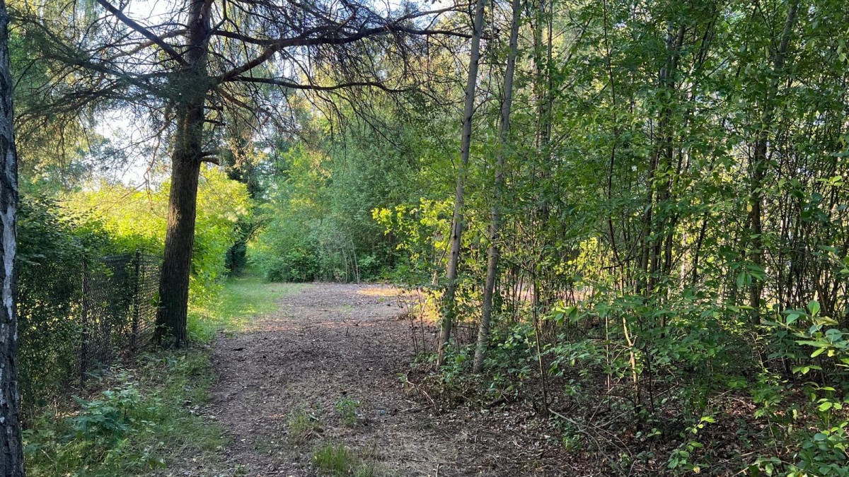WYJĄTKOWA DZIAŁKA Z WZ 3204 m2 | GRABÓW NAD PILICĄ — zdjęcie 2