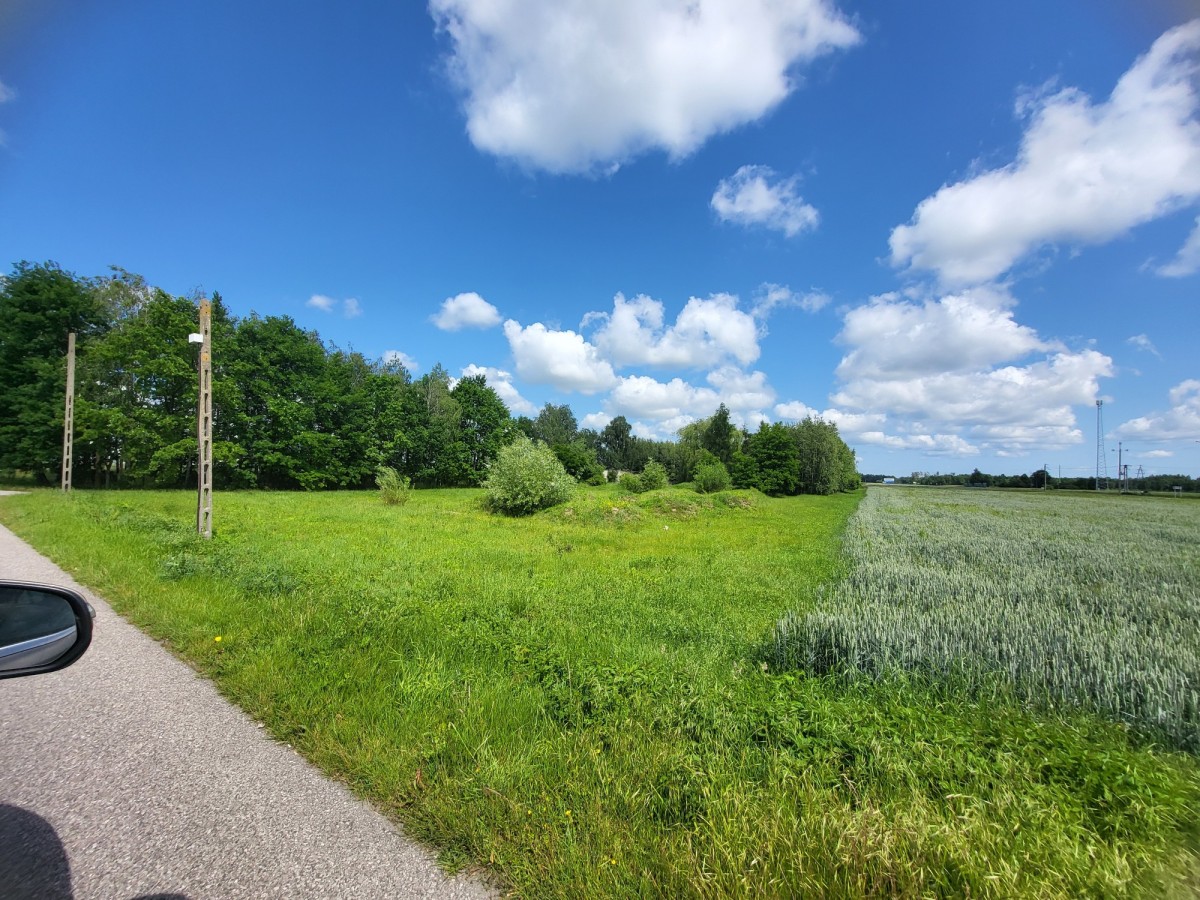 Działka 6400 m² sprzedaż Elżbietów, gmina Teresin — zdjęcie 3