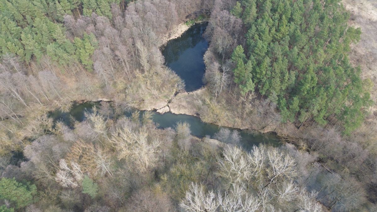 Budowlana w OTWOCKU z dostępem do rzeki ŚWIDER — zdjęcie 2