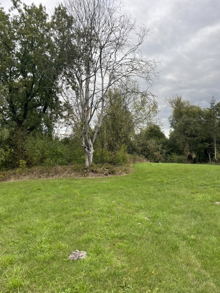 Działka bud. nad Bugiem | 0,30 ha ciszy i zieleni — zdjęcie 3