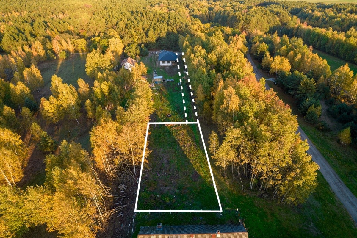 DZIAŁKA KOŁO RADZYMINA — zdjęcie 5