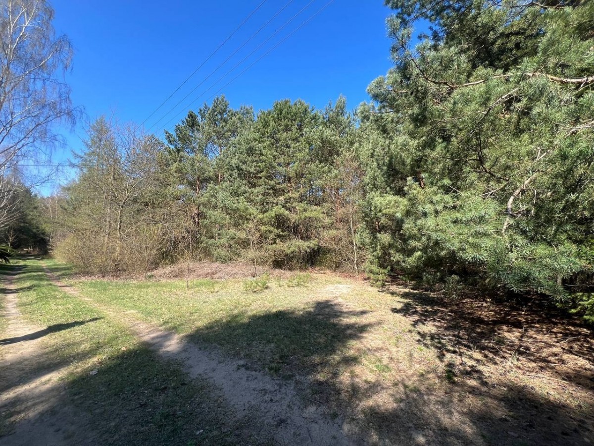 Działka rekreacyjna | Blisko rzeki | 50 km od W-wy — zdjęcie 4