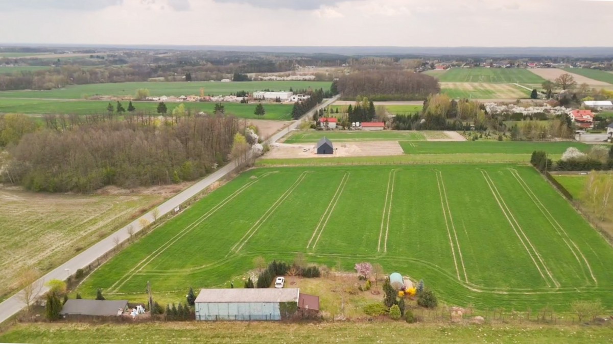 Działka 2000 m² | Miszewko Strzałkowskie | 105/8 — zdjęcie 3