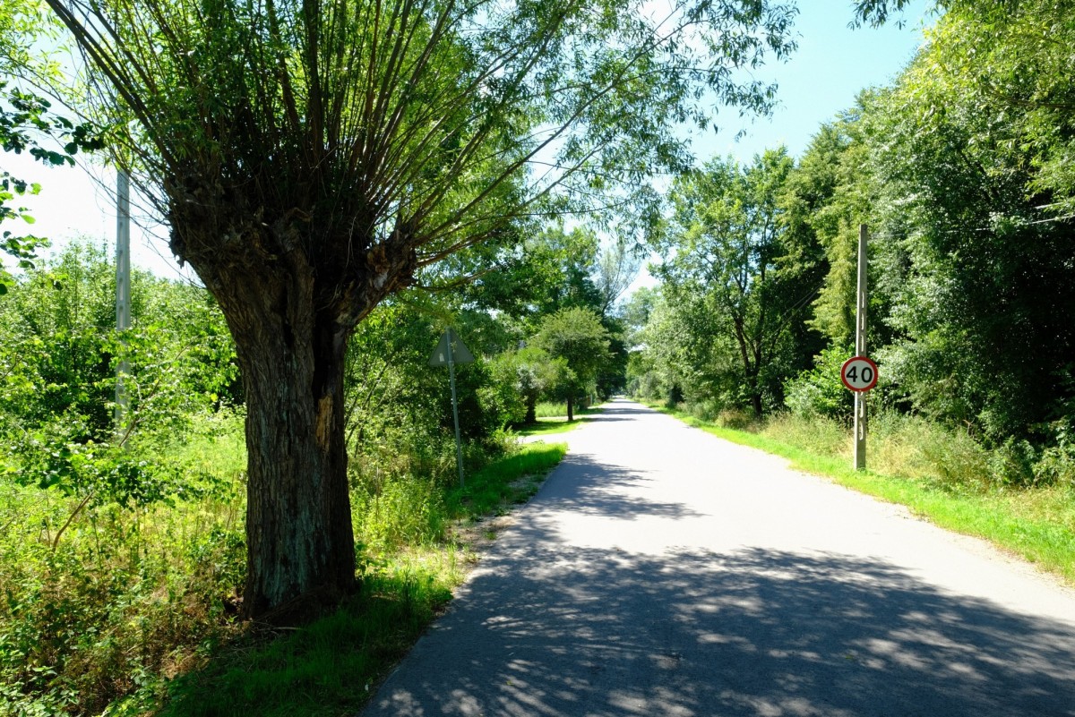 UNIKAT - Dom przy granicy KPN - Kampinos — zdjęcie 4