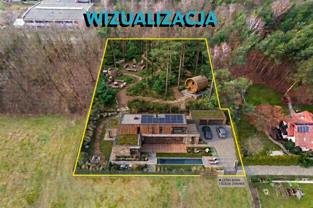 Poranki w domu, wieczory w lesie... — zdjęcie 5